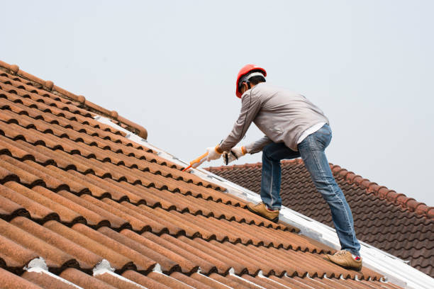 Best Asphalt Shingles Roofing  in Lepanto, AR