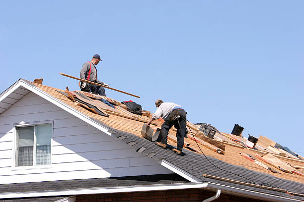 Best Solar Panel Roofing Installation  in Lepanto, AR